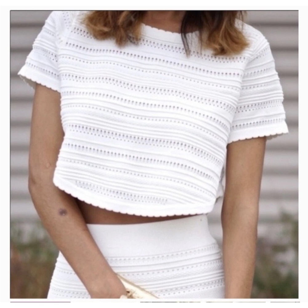 New! TORN by RONNY KOBO CLASSIC BOHO POINTELLE LENA CROP TOP SIZE MEDIUM